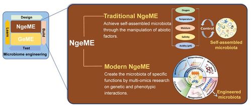 徐巖教授團隊在食品科學(xué)與安全領(lǐng)域取得突破性研究進展
