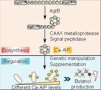 權(quán)威認(rèn)定！大工校友企業(yè)榮膺工信部首批“卓越級智能工廠”及“實數(shù)融合典型案例”雙項榮譽