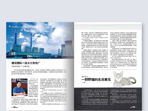 企業(yè)宣傳畫冊與健身器材期刊設(shè)計(jì)指南